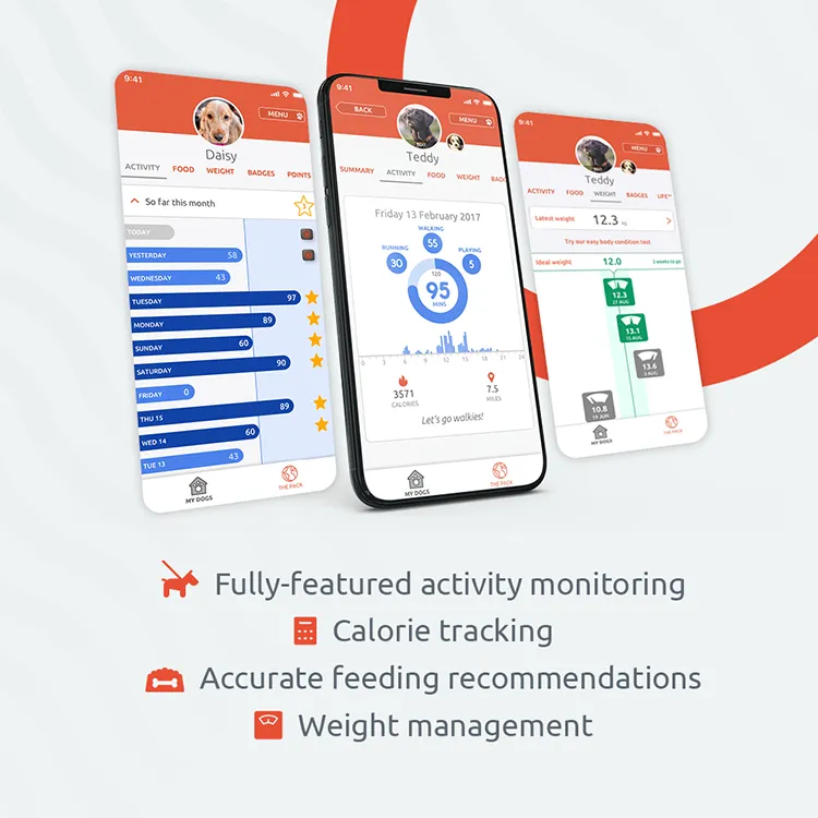 PitPat Activity Monitor and app can track your dogs activity, weight, and rest
