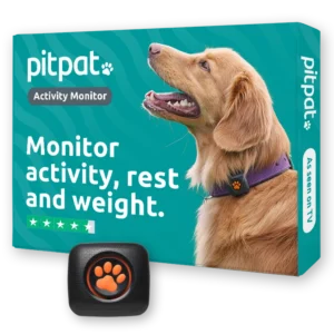 Monitor activity, rest, and weight