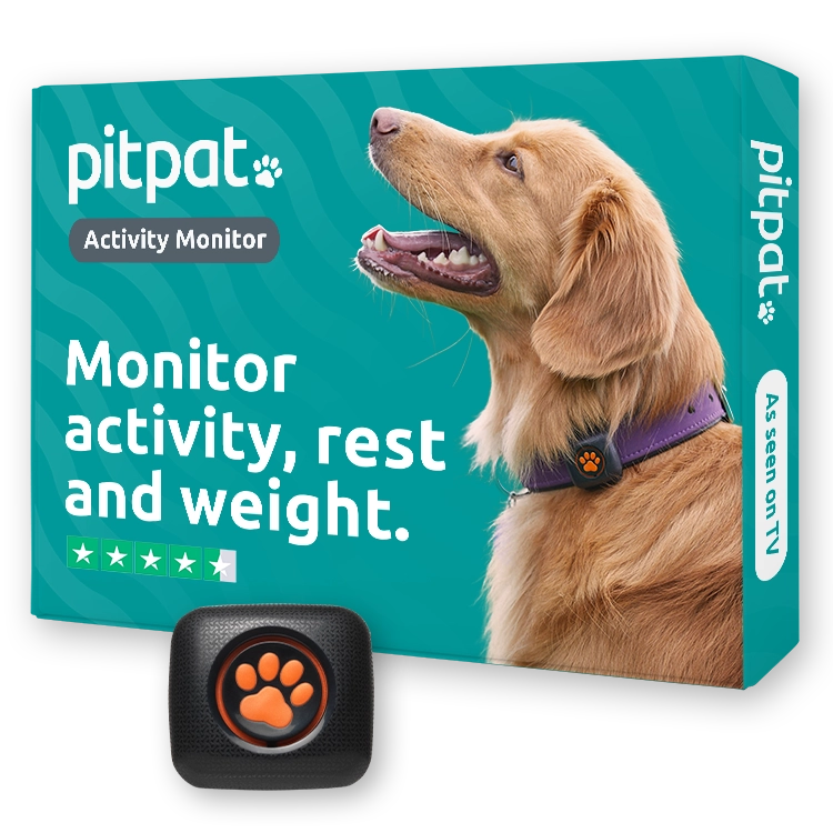 Monitor activity, rest, and weight